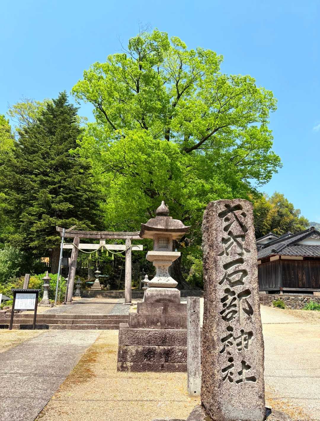 石部神社⛩️
御神木の幹回りは凄かった