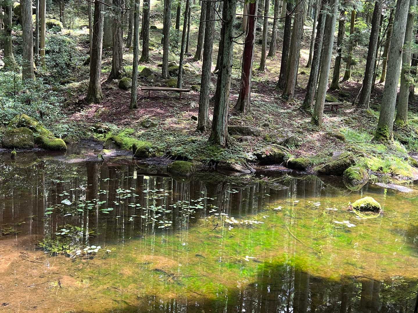 屏風山-黒の田東湿地 往復コースの写真