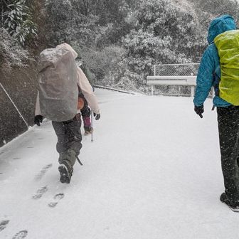 雪のヴァージンロードです

ここからは積雪も3cmくらい。
烽火山では5cm位積もっていました。
もっと綺麗な雪景色だったのに撮れなくて残念。