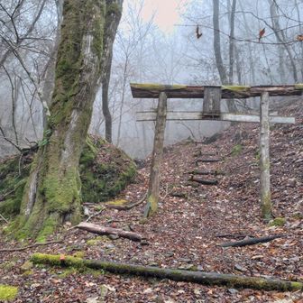 薄っすら積もった雪も登山道は溶けて道標のようになっていたの一気に下山🚶
山に助けられたような気がしました😊