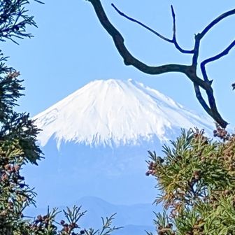 観音塚から見えた富士山🗻