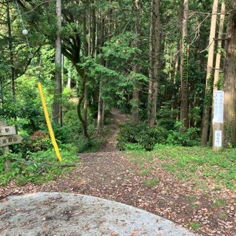 世界無名戦士の墓の脇から登山道へ。
道は普通に歩きやすい。