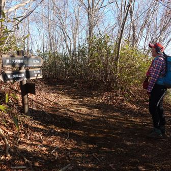 分岐点。右へ進む