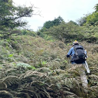 お立ち台からの帰り道…
ほぼ、草漕ぎ😭