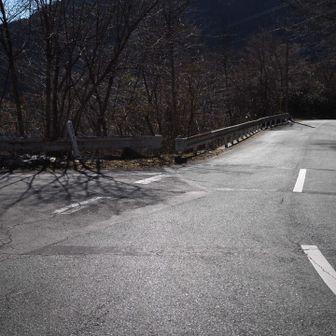 駐車場前の道
暖かく雪が無いです