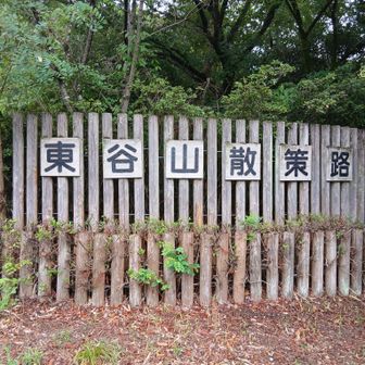 ここからスタートです