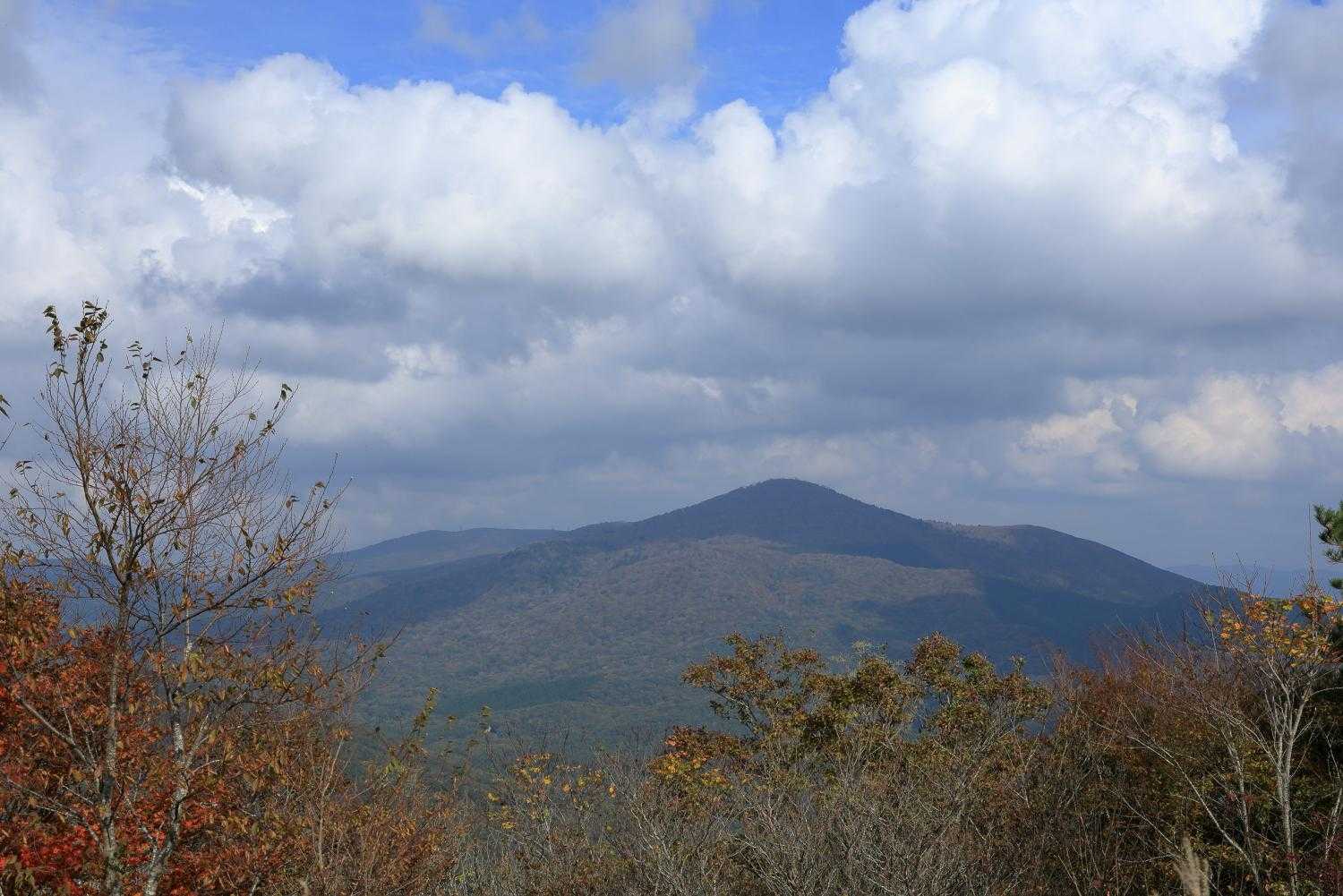 「臥竜山」山肌が紅葉してます