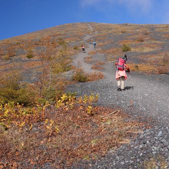 上塚へ向かう、草紅葉がキレイです🍂
主の山道がズルズル登り難い
横に登り易い山道アリ