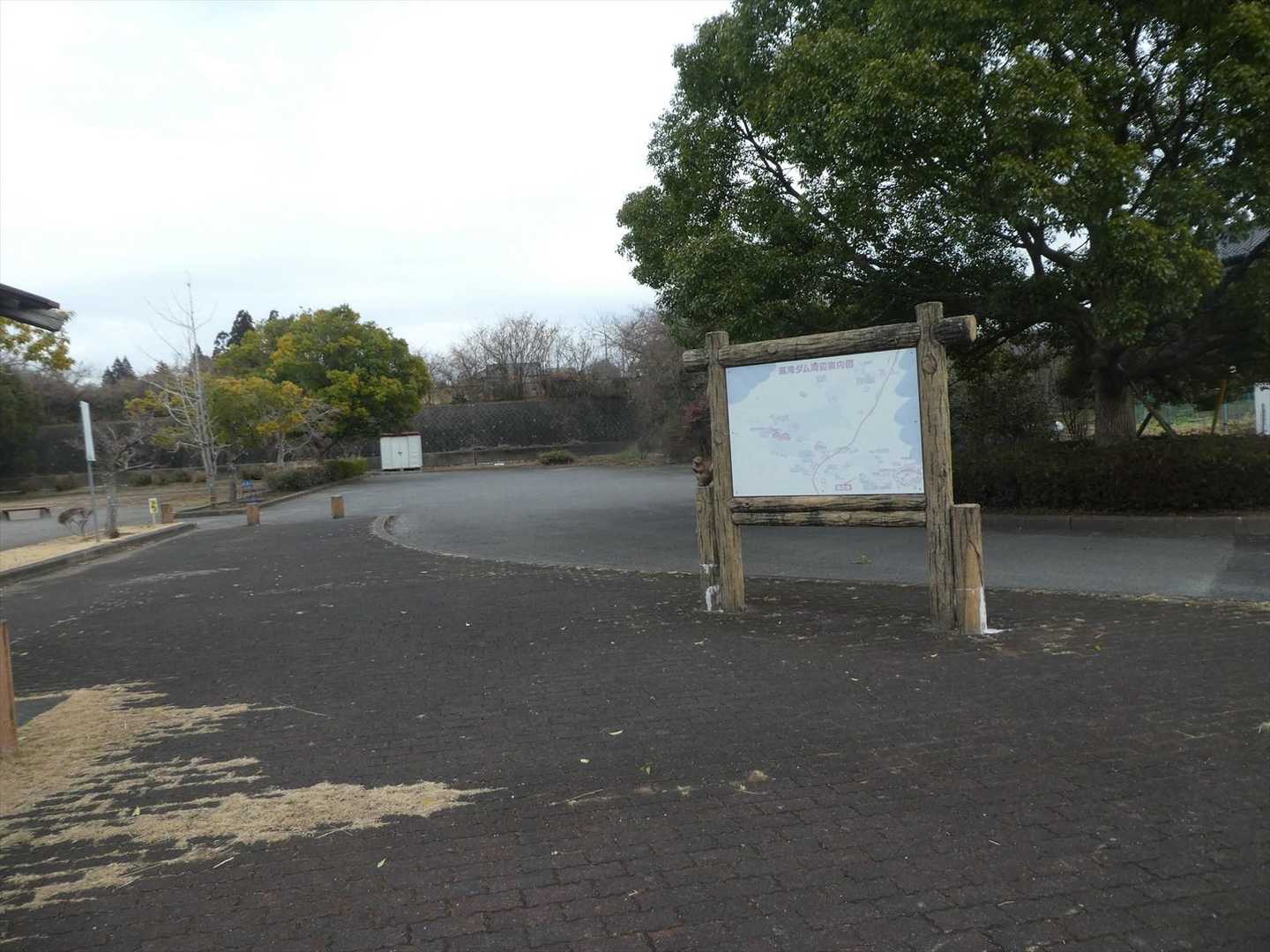 戻ってきました