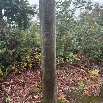 ここから、越後三山最高の展望台として名高い「笠倉山」へピストンします。