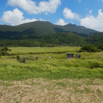 出たー坊がつる