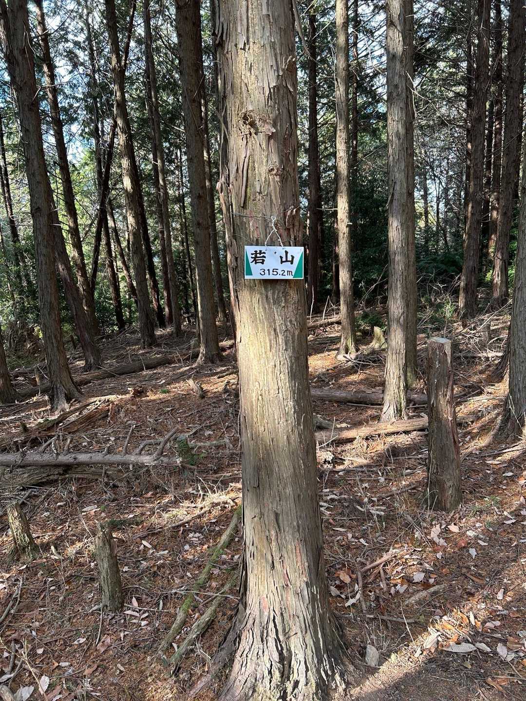 磐手橋バス停-若山-若山神社 縦走コースの写真