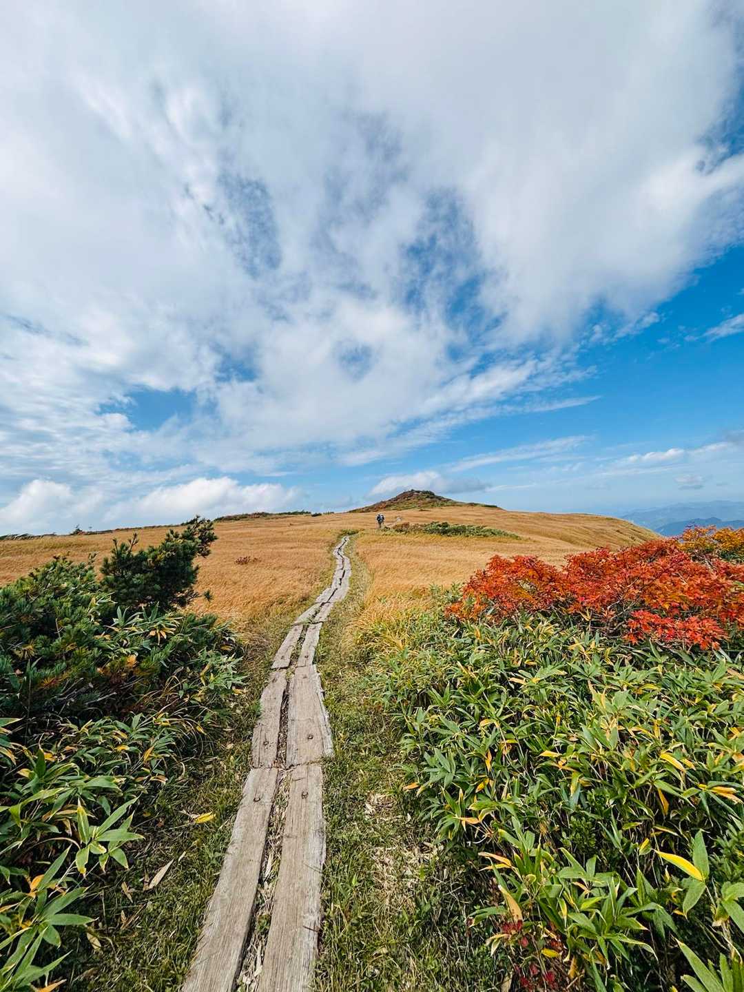 栗駒山-秣岳 周回コースの写真