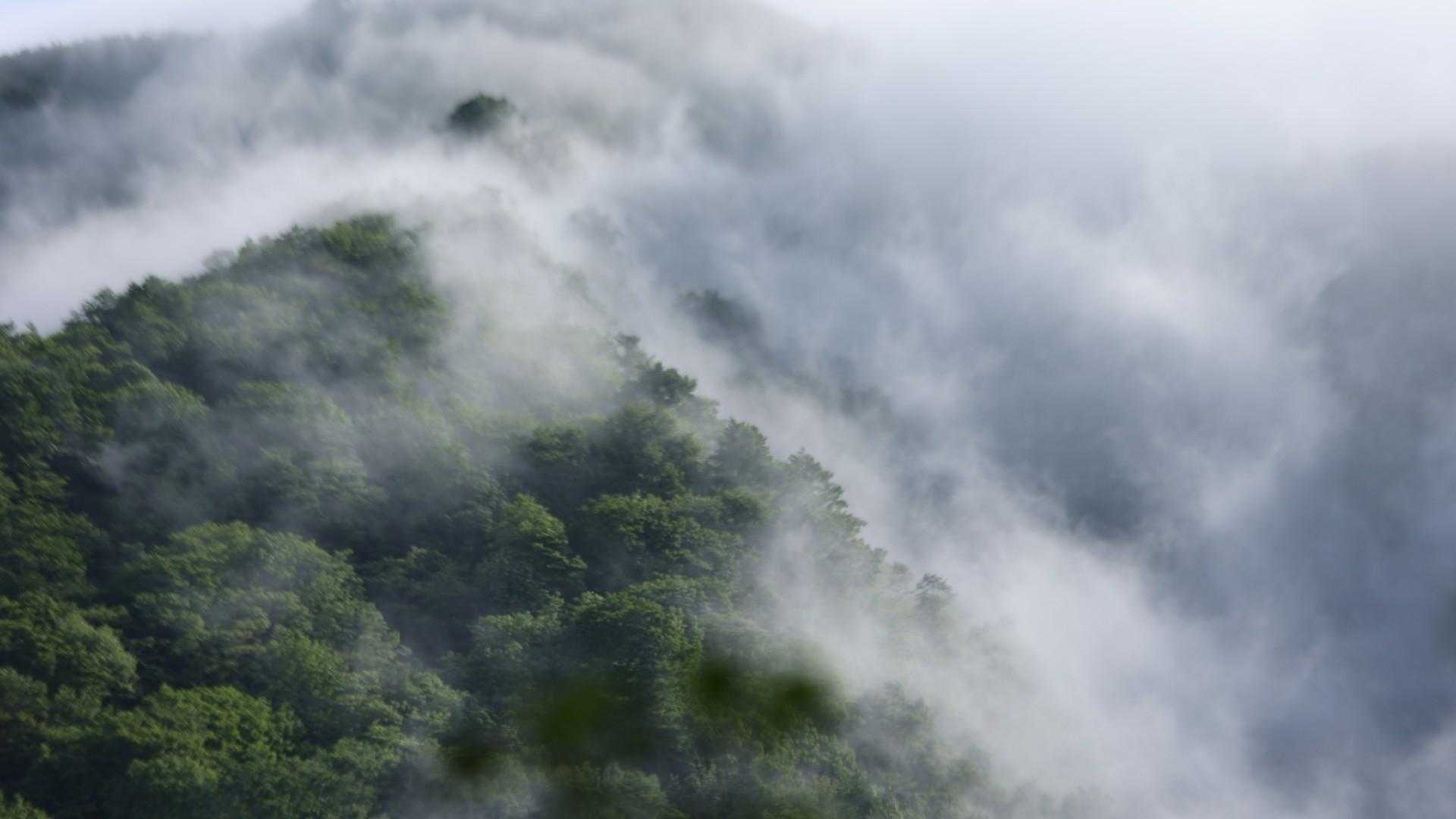 豪士山登山口-豪士山-高畠町最高峰-駒ヶ岳 周回コースの写真