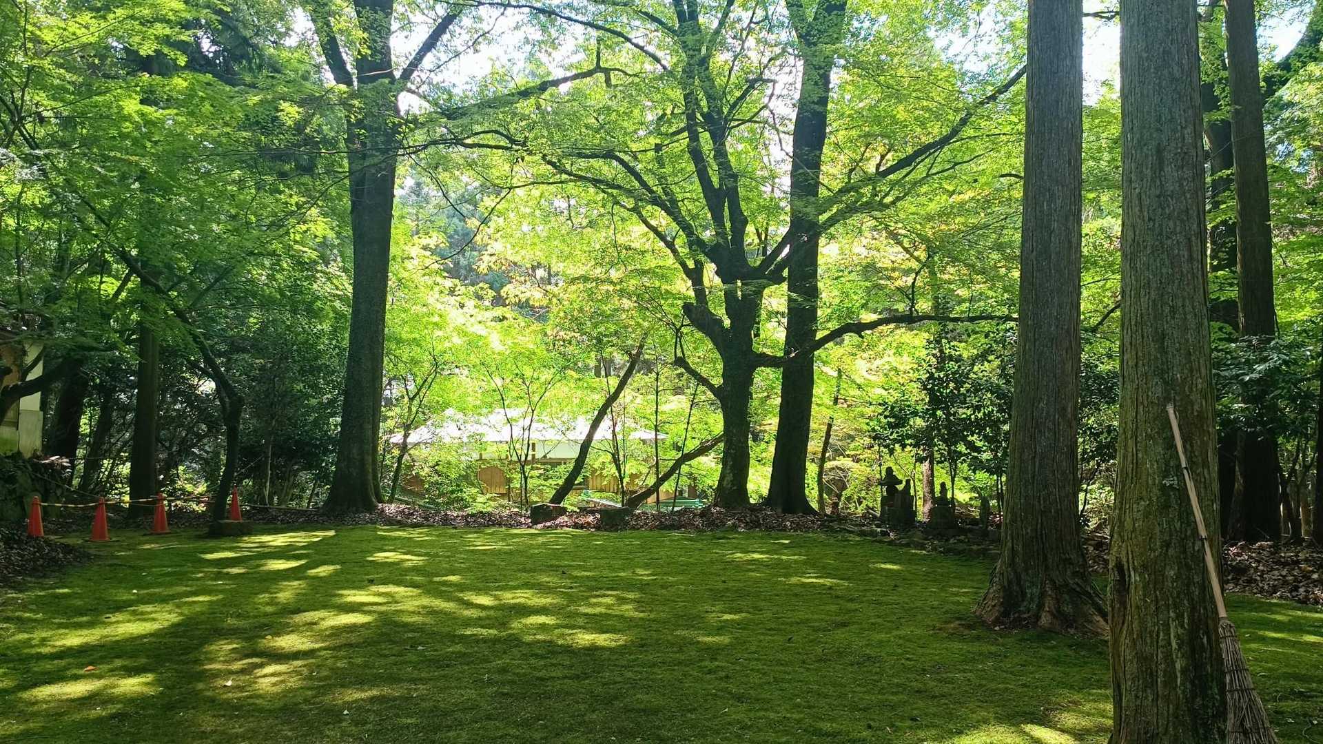 大親寺の庭です。
元々午後から天気崩れる予報だったのに晴れてました🤣