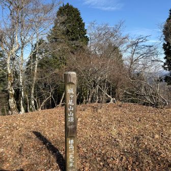 城ヶ尾山