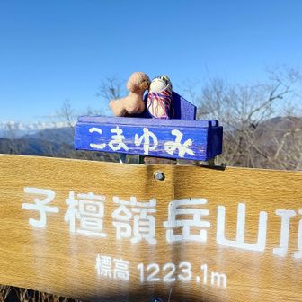 うちの子も無事に3座制覇🦮👶