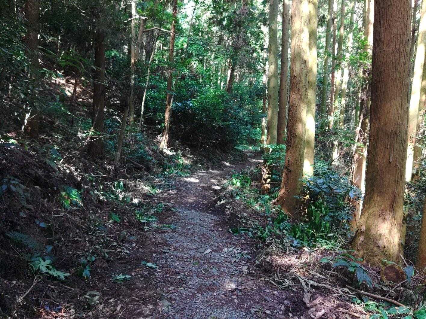 帰りも ゆるい 道が続きます