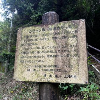 カラッソ坂からの下りは
右側に整備された木の階段があるので
そちらを通った方が良いと思います😊
