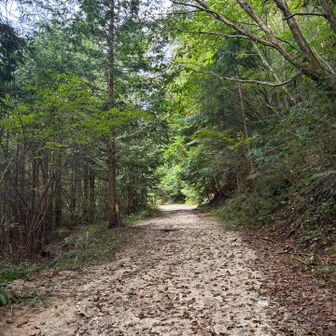 登山開始❗️