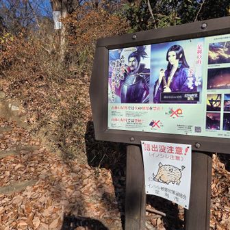 あの山火事から4年たつのね(・・;)))