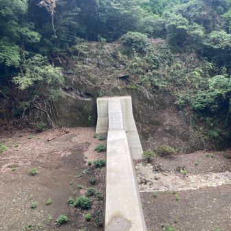 下りは岩が滑る😅
なんとか下ってダム到着、あとは林道