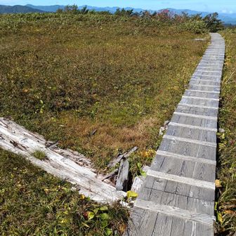 左が取水口の木道。他の人の報告もあったが、差が・・・。