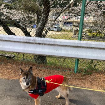 戻ってきました。