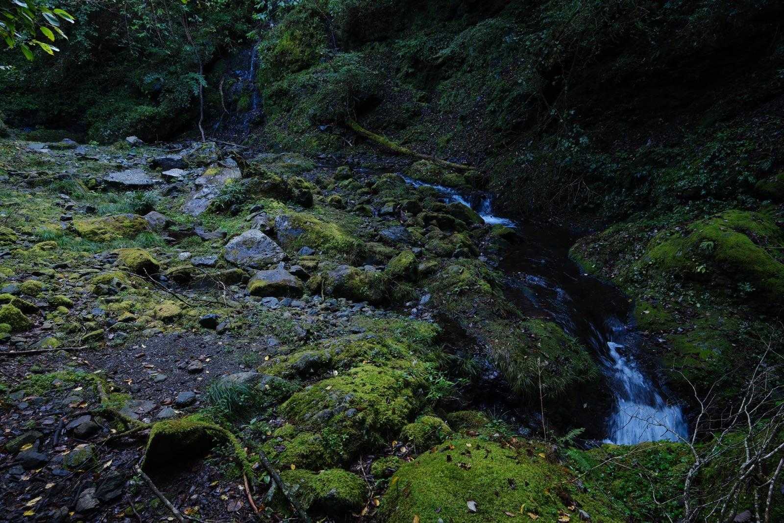 百尋ノ滝までは苔むした道
沢沿いを歩くのは気持ちが良いです