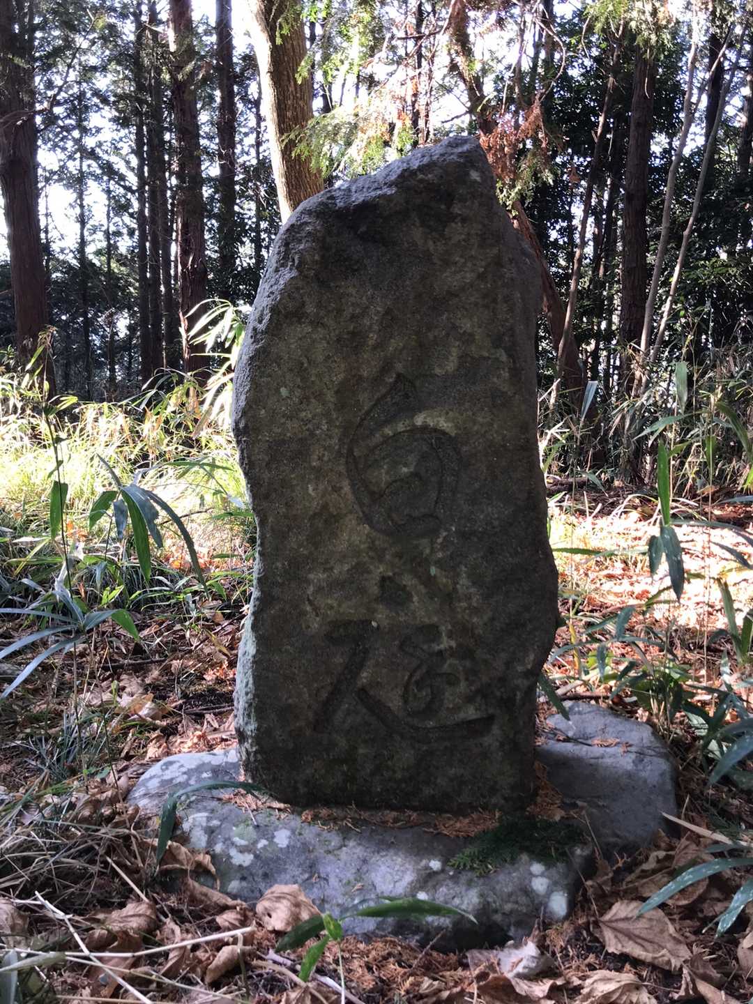 『白庭』とあります🤔