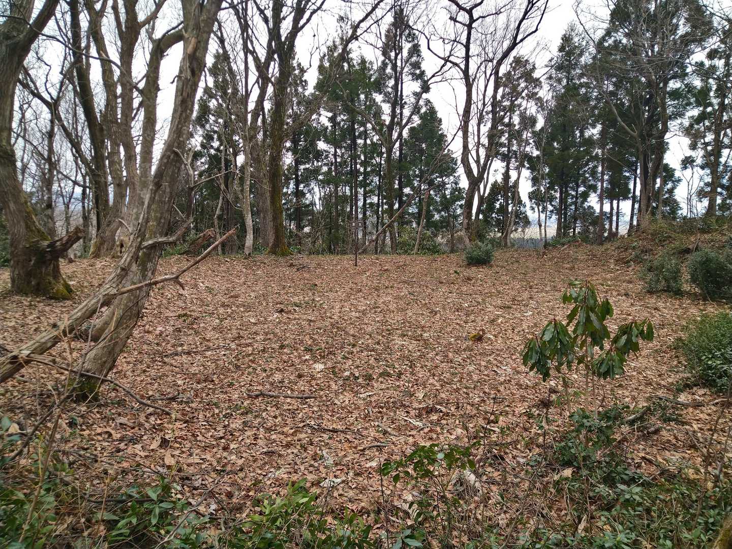 三の郭・二の郭からは想像できない本丸の広さ😳❗
城の重要度を感じます✨
