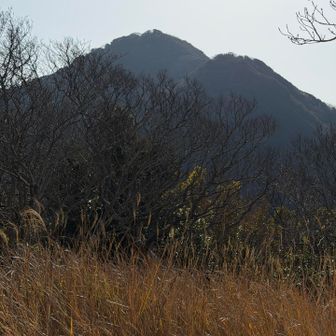 鷲頭山が迫ってきます