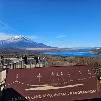 パノラマ台からの富士山