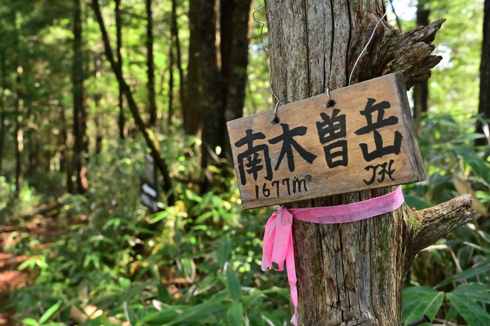 新しめの山頂標識もぶら下がっている。
木々に覆われて眺望無いのでそのまま先に進む