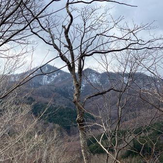 砥石山とかかい？時間があればね〜

割れ山行きたいみたいだから、雪が降ったら行こうかな😄