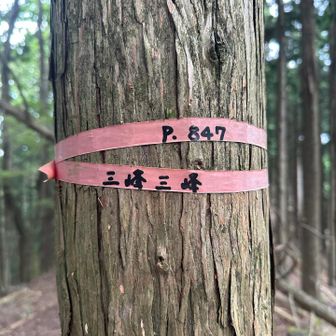 北尾根三峰🙌
