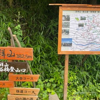 大谷橋登山口に帰着。