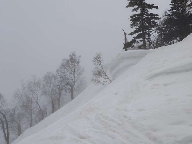 タケノコ山（北海道） | YAMAP / ヤマップ
