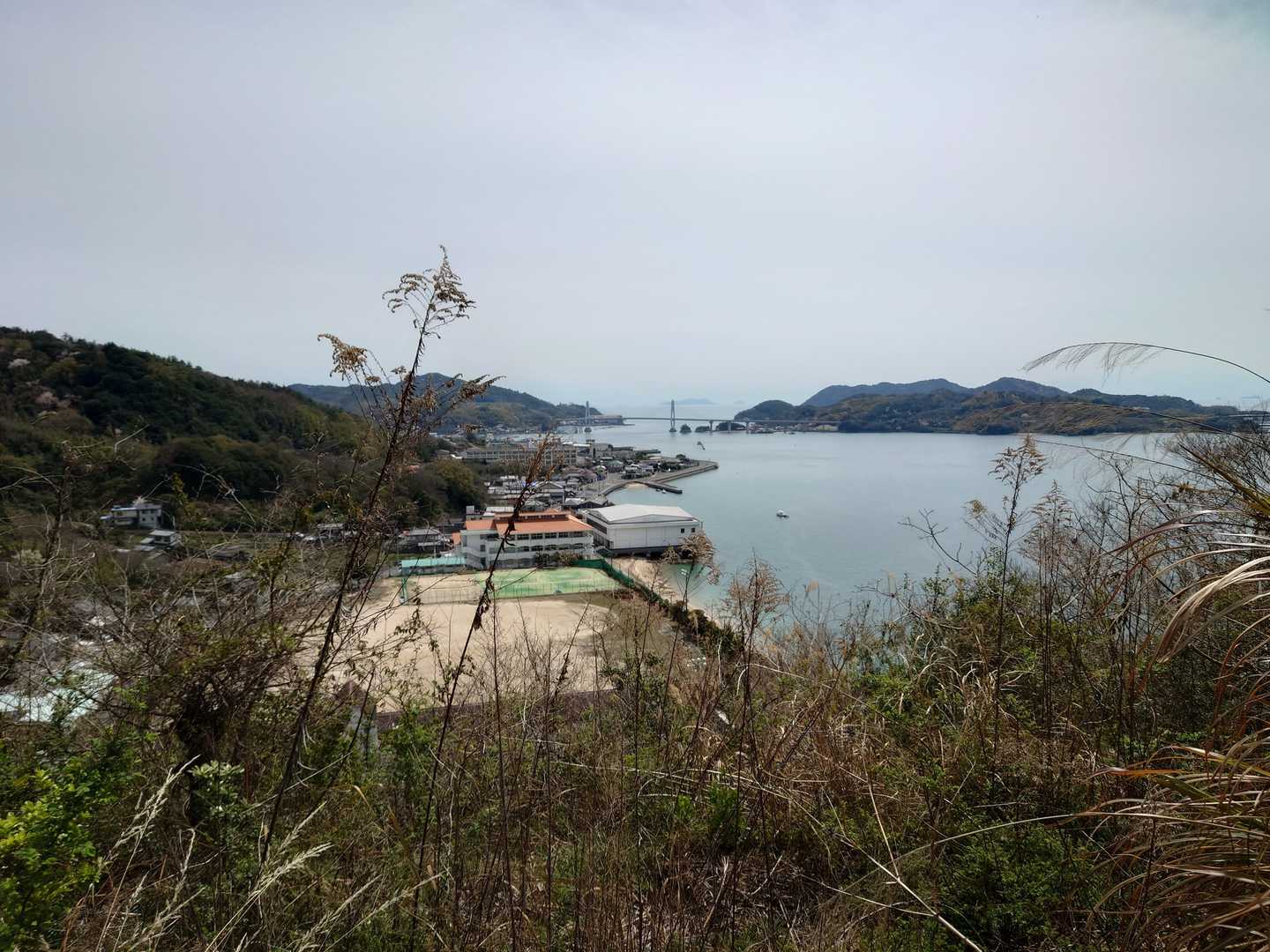 小学校の裏山ですね