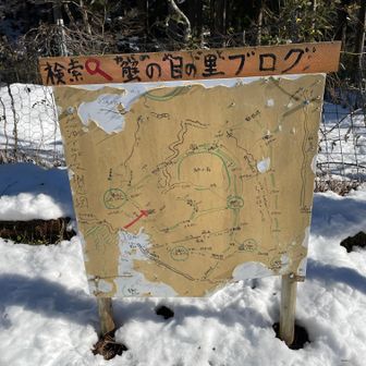 いろいろ登れそう。😃