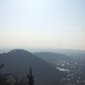 真っ白だもの😓