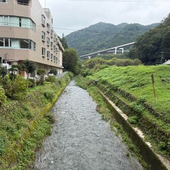バスに乗るか迷っちゃうな