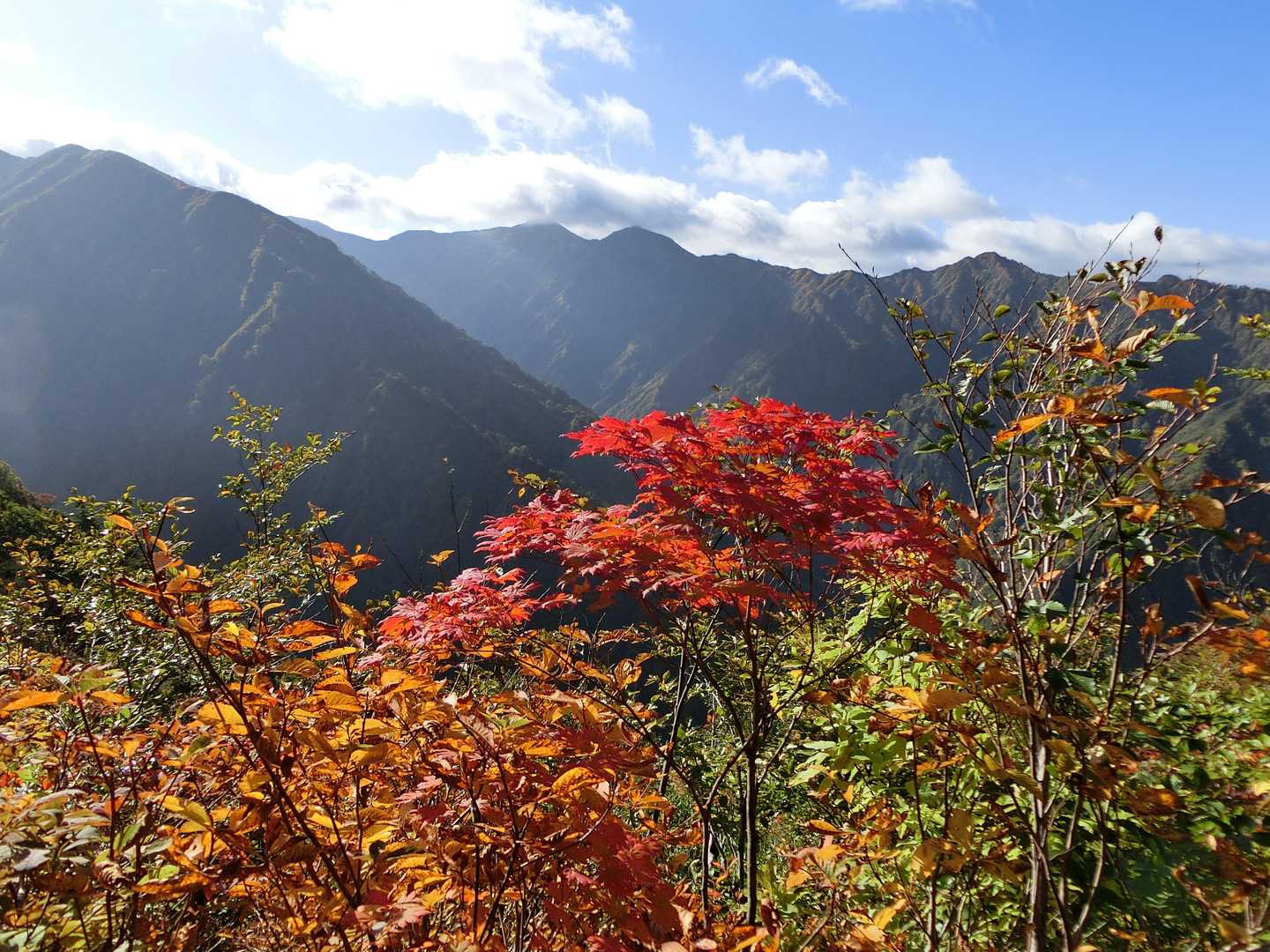 紅葉。
まだ逆光気味で東、南はよく見えず。