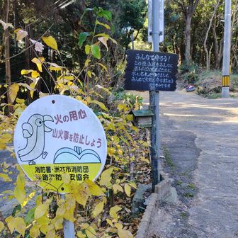先山ｾﾝｻﾞﾝ⛰️登山口②