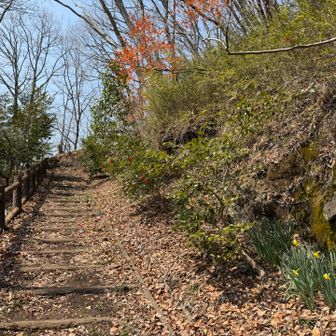 階段は足の指先がやられる…