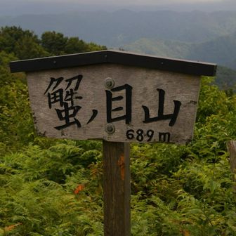 それぞれの山の楽しみ方があり
私はもっとゆっくり観察したい😂
時間が足りません😎※健脚ではないので(笑)
綺麗に草刈り去れてます🎵
歩きやすく、ありがとうございました🦀