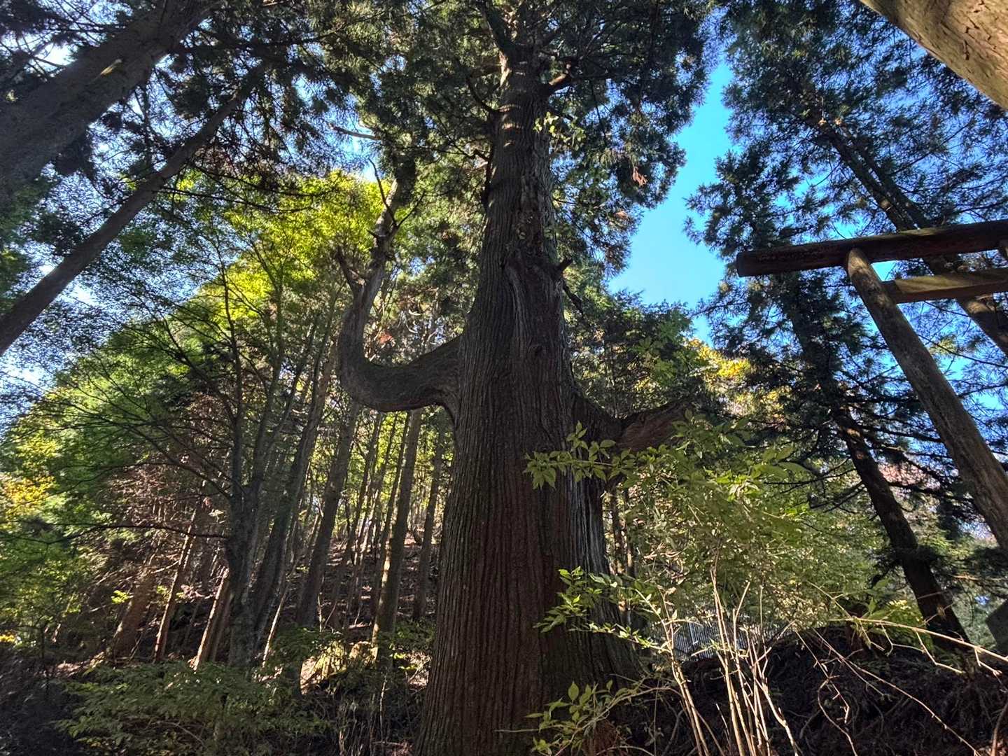 天狗の腰掛け