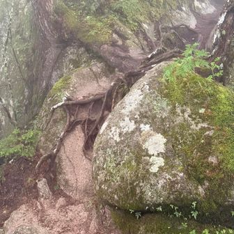 雰囲気変わってきます