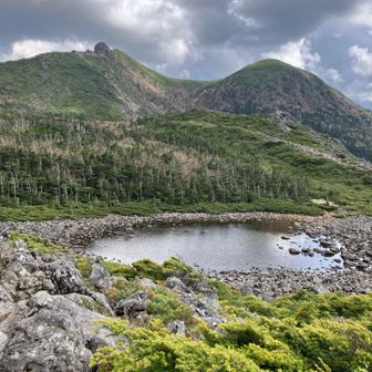 ホラ、意外とまだここ。
実は‥ジージョもトイレに行きたくなってきました💧
食べ物を与えすぎたか‥