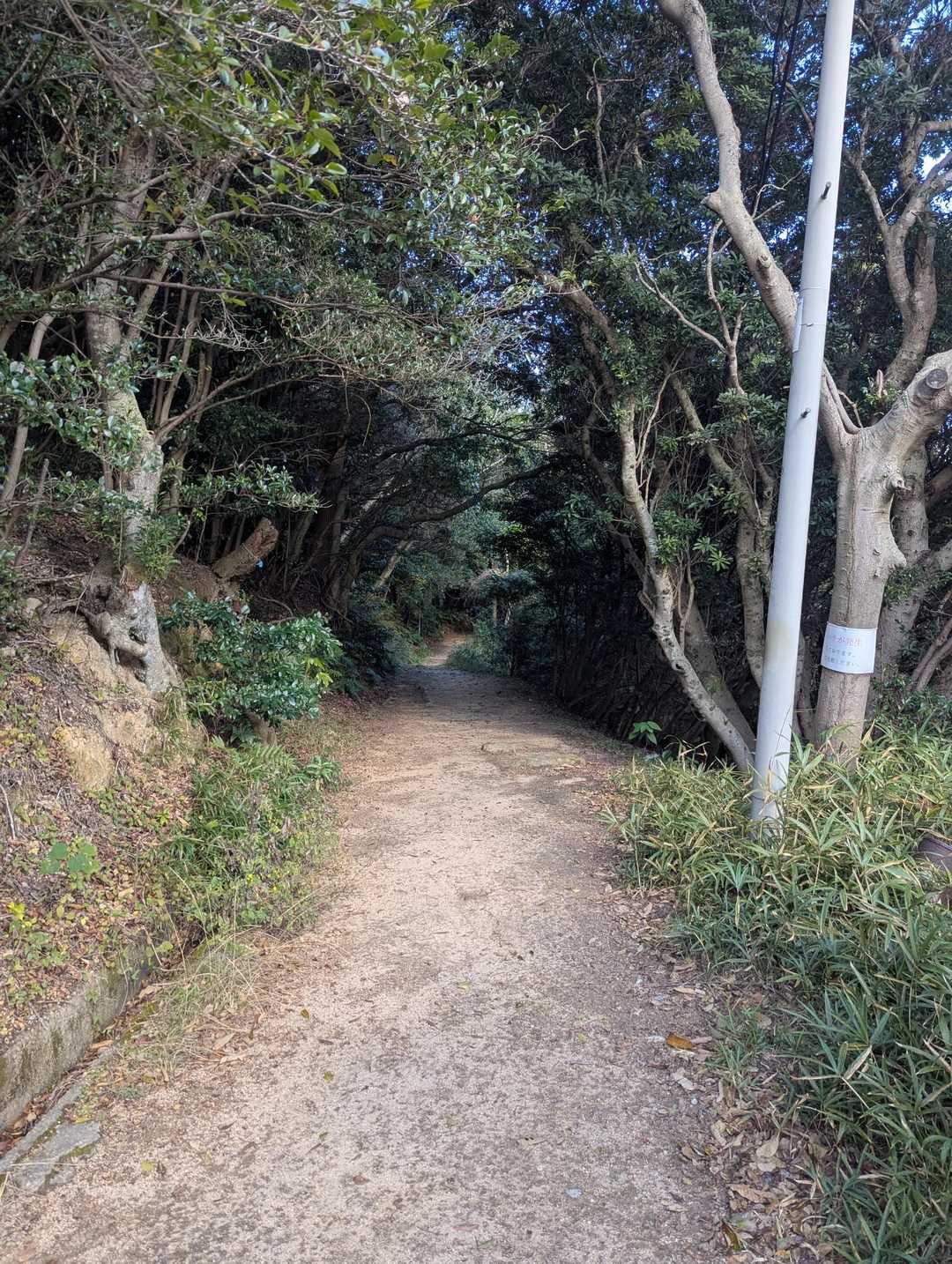 須磨浦公園～旗振山までにもしバッヂを落としてたとしても、清掃してくださってるやろし、ないやろな…